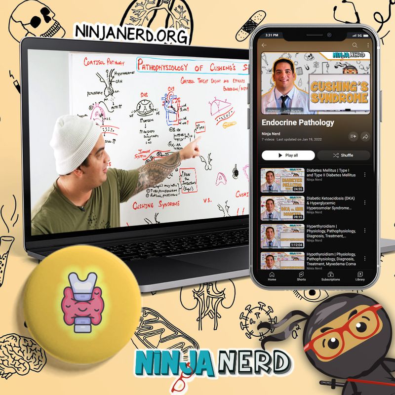 What's New Ninja Nerd